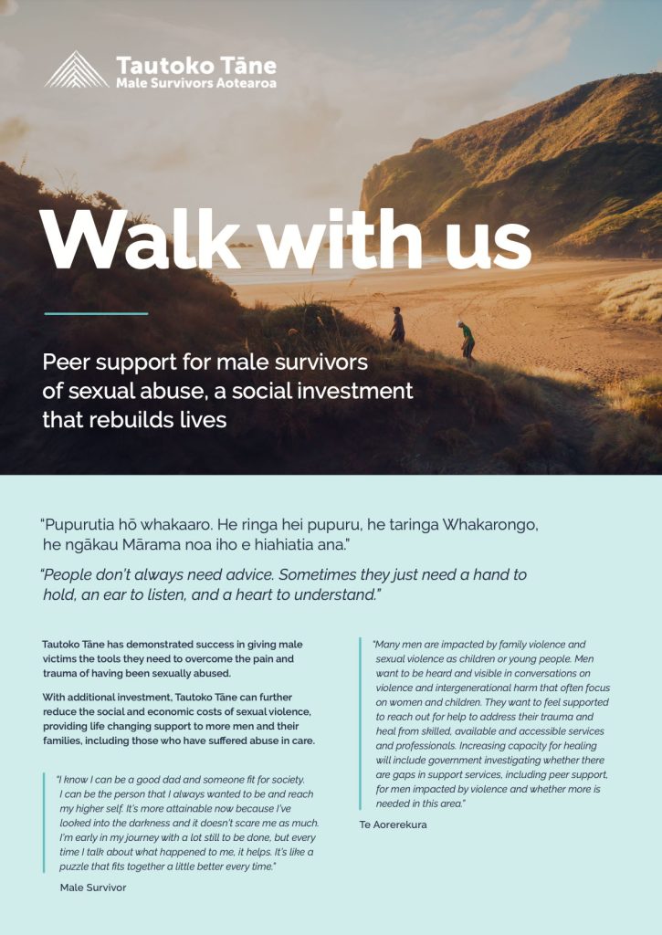 Cover design for Walk with Us - Tautoko Tane Soical Investment Report Overview